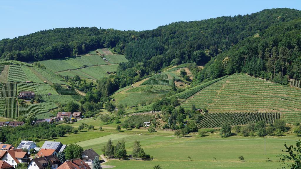 Hotel Schwarzenbergs Traube Glottertal Bagian luar foto
